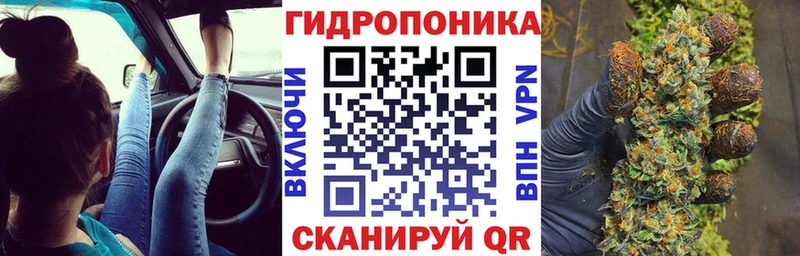 Бошки марихуана конопля Богданович